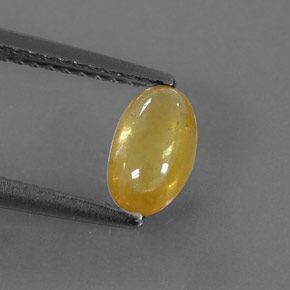 0,85 ctw natürlicher gelber Saphir, Transparent, Transparent / Lichtdurchlässig