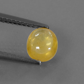 1,09 ctw natürlicher gelber Saphir, Transparent, Transparent / Lichtdurchlässig