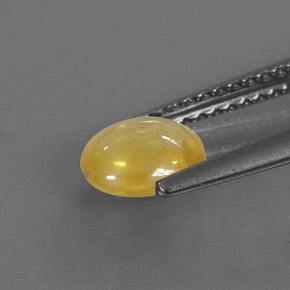 1,09 ctw natürlicher gelber Saphir, Transparent, Transparent / Lichtdurchlässig