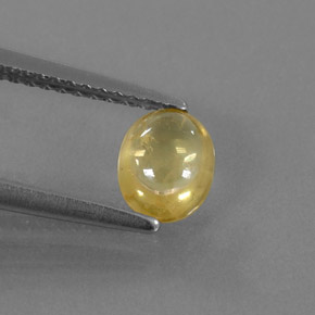 0,87 ctw natürlicher gelber Saphir, Transparent, Transparent / Lichtdurchlässig