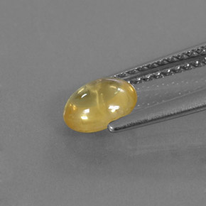 0,87 ctw natürlicher gelber Saphir, Transparent, Transparent / Lichtdurchlässig