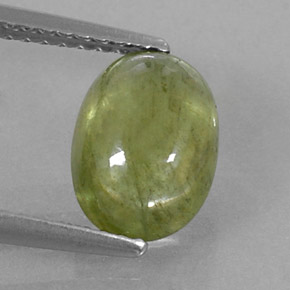 2,97 ctw natürlicher grüner Saphir, Transparent, Transparent / Lichtdurchlässig
