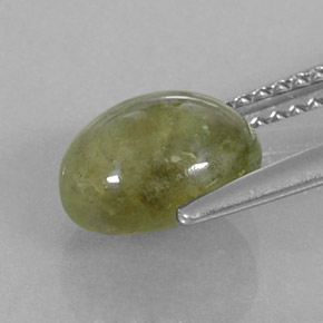 3,17 ctw natürlicher grüner Saphir, Transparent, Transparent / Lichtdurchlässig