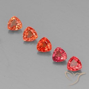 1,76 ct natürliche mehrfarbiger Saphir-Edelsteine, Trillion, VVS-VS
