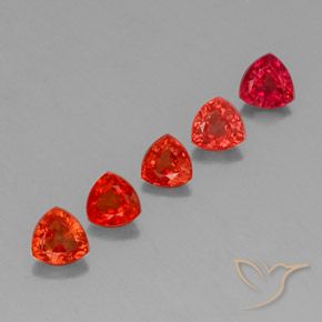 1.77 ct natürliche Leuchtendes Purpurrot Saphir-Edelsteine, Trillion, VVS-VS