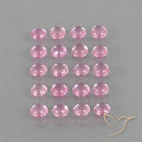 3.17 ct natürliche Sehr helles Rosa Saphir-Edelsteine, Runden, Transparent