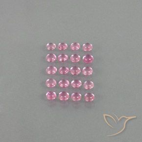 3.36 ct natürliche Sehr helles Kaugummirosa Saphir-Edelsteine, Runden, Transparent