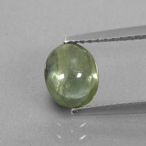 1,67 ctw natürlicher grüner Saphir, Transparent, Transparent / Lichtdurchlässig