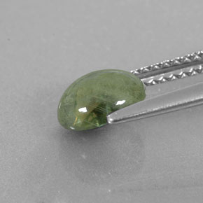 1,67 ctw natürlicher grüner Saphir, Transparent, Transparent / Lichtdurchlässig
