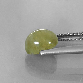 2,30 ctw natürlicher grüner Saphir, Transparent, Transparent / Lichtdurchlässig
