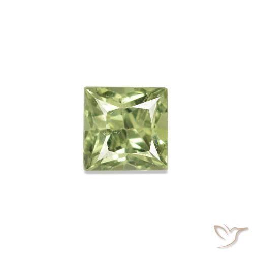 2.52 ct natürliche Warmes Grün Saphir-Edelsteine, Quadrat, VVS-VS
