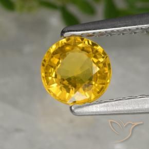 9,17 ctw natürlicher Golden Saphir, Runden, VS