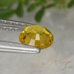 9,17 ctw natürlicher Golden Saphir, Runden, VS