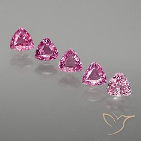 1.53 ct natürliche Mittelrosa Saphir-Edelsteine, Trillion, VS