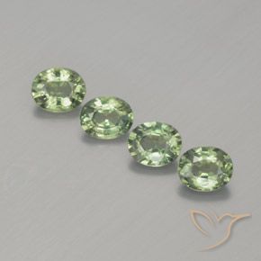 1.76ctw Natürlicher Helles Salbeigrün Saphir, Oval, VS