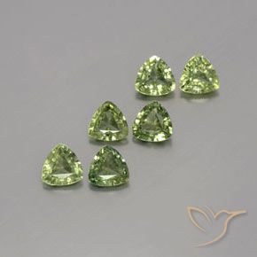 1.65 ct natürliche Warmes Grün Saphir-Edelsteine, Trillion, VVS-VS