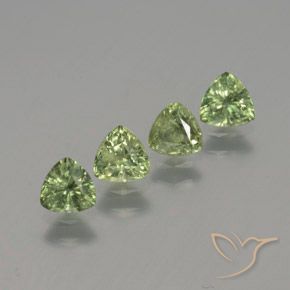 1.46 ct natürliche Waldgrün Saphir-Edelsteine, Trillion, VS