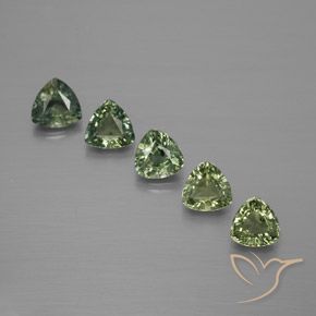 1.67 ct natürliche Helles Waldgrün Saphir-Edelsteine, Trillion, VS
