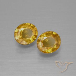 1.52 ct natürliche Mittel-Dunkelgold Saphir-Edelsteine, Oval, VS