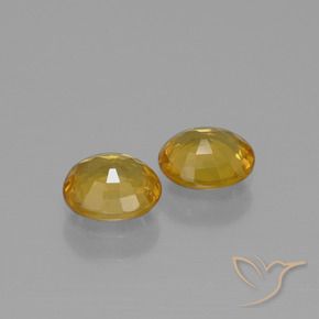 1.52 ct natürliche Mittel-Dunkelgold Saphir-Edelsteine, Oval, VS