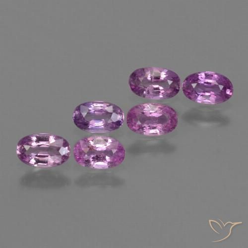 1.54 ct natürliche Intensives Pink-Lila Saphir-Edelsteine, Oval, VS