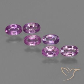 1.54 ct natürliche Intensives Pink-Lila Saphir-Edelsteine, Oval, VS