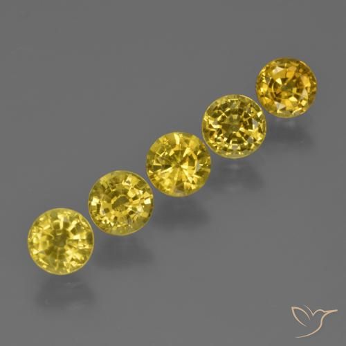 3.05 ct natürliche Helles Honiggelb Saphir-Edelsteine, Runden, VS