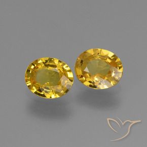 1.42 ct natürliche Golden Saphir-Edelsteine, Oval, VVS-VS