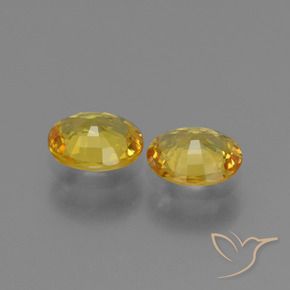 1.42 ct natürliche Golden Saphir-Edelsteine, Oval, VVS-VS