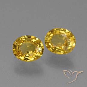 1.49 ct natürliche Golden Saphir-Edelsteine, Oval, VS