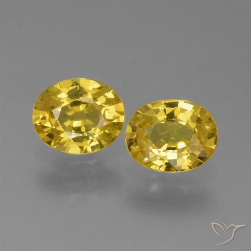 1.44ctw Natürlicher Gelblich Gold Saphir, Oval, VVS-VS