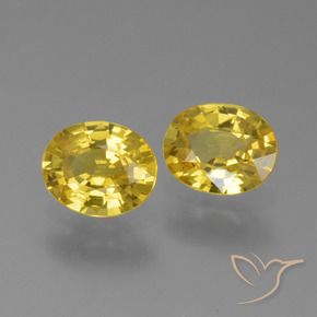1.44 ct natürliche Gelblich Gold Saphir-Edelsteine, Oval, VVS-VS