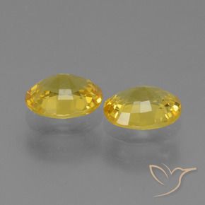 1.44 ct natürliche Gelblich Gold Saphir-Edelsteine, Oval, VVS-VS
