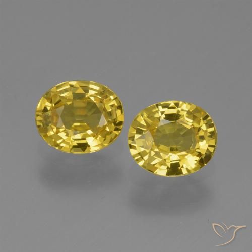 1.41ctw Natürlicher Mittelgelb Saphir, Oval, VVS