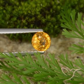 9,17 ctw natürlicher Dunkelorange-Gold Saphir, Runden, VS