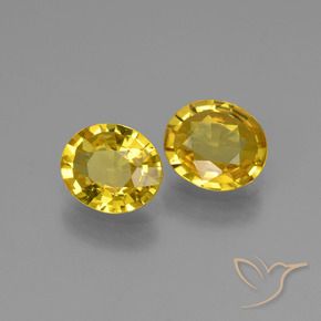 1.30 ct natürliche Helles Honiggelb Saphir-Edelsteine, Oval, VVS-VS