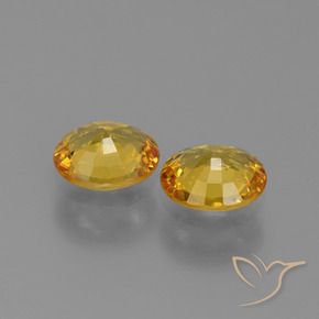 1.44 ct natürliche Golden Saphir-Edelsteine, Oval, VVS-VS