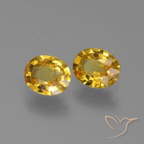 1.36 ct natürliche Golden Saphir-Edelsteine, Oval, VVS-VS