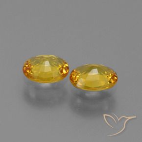 1.36 ct natürliche Golden Saphir-Edelsteine, Oval, VVS-VS