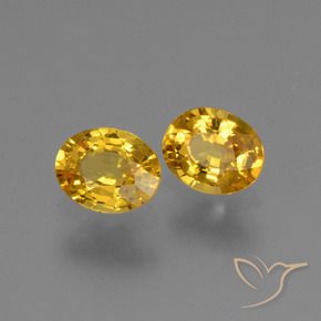 1.42 ct natürliche Golden Saphir-Edelsteine, Oval, VVS-VS