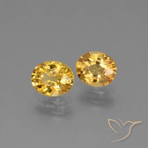 1.49 ct natürliche Dunkelgolden Saphir-Edelsteine, Oval, VS