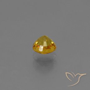 9,17 ctw natürlicher Golden Saphir, Runden, VVS-VS