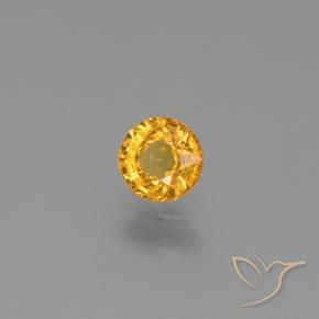 9,17 ctw natürlicher Dunkelgolden Saphir, Runden, VVS