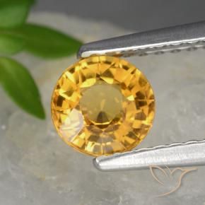 9,17 ctw natürlicher Dunkelgolden Saphir, Runden, VVS