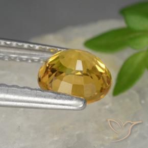9,17 ctw natürlicher Dunkelgolden Saphir, Runden, VVS