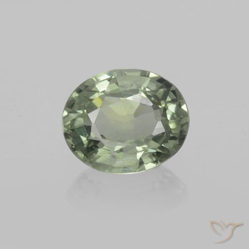 0.77ct Natürlicher Waldgrün Saphir, Oval, VVS-VS