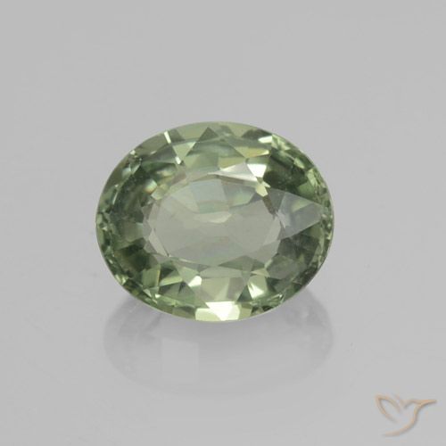 0.83ct Natürlicher Medium Light Green Saphir, Oval, VVS-VS
