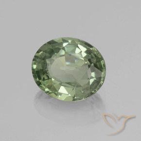 9,17 ctw natürlicher Medium Light Green Saphir, Oval, VVS-VS