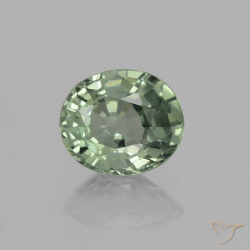 0.75ct Natürlicher Medium Light Green Saphir, Oval, VVS-VS, Photo A