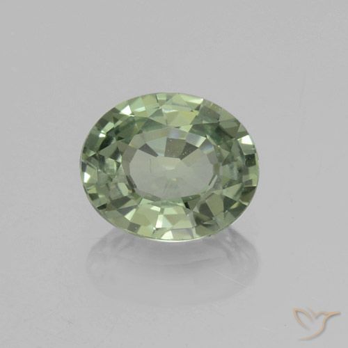 0.72ct Natürlicher Waldgrün Saphir, Oval, VVS